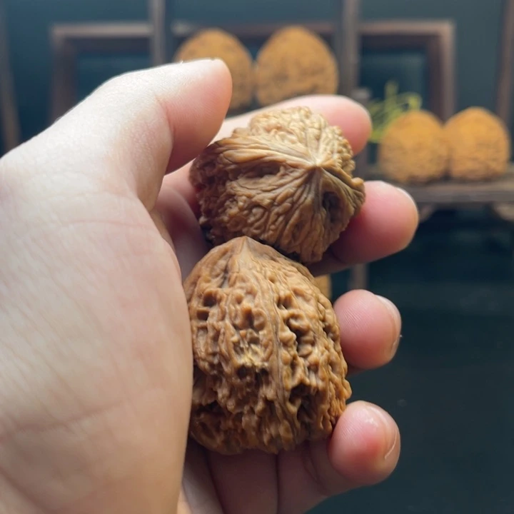 蒙***乐大叶紫檀（黑酸枝木类）