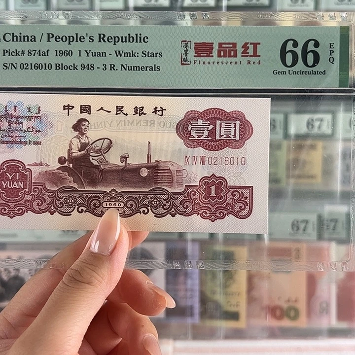 深墨版一品红福利包邮