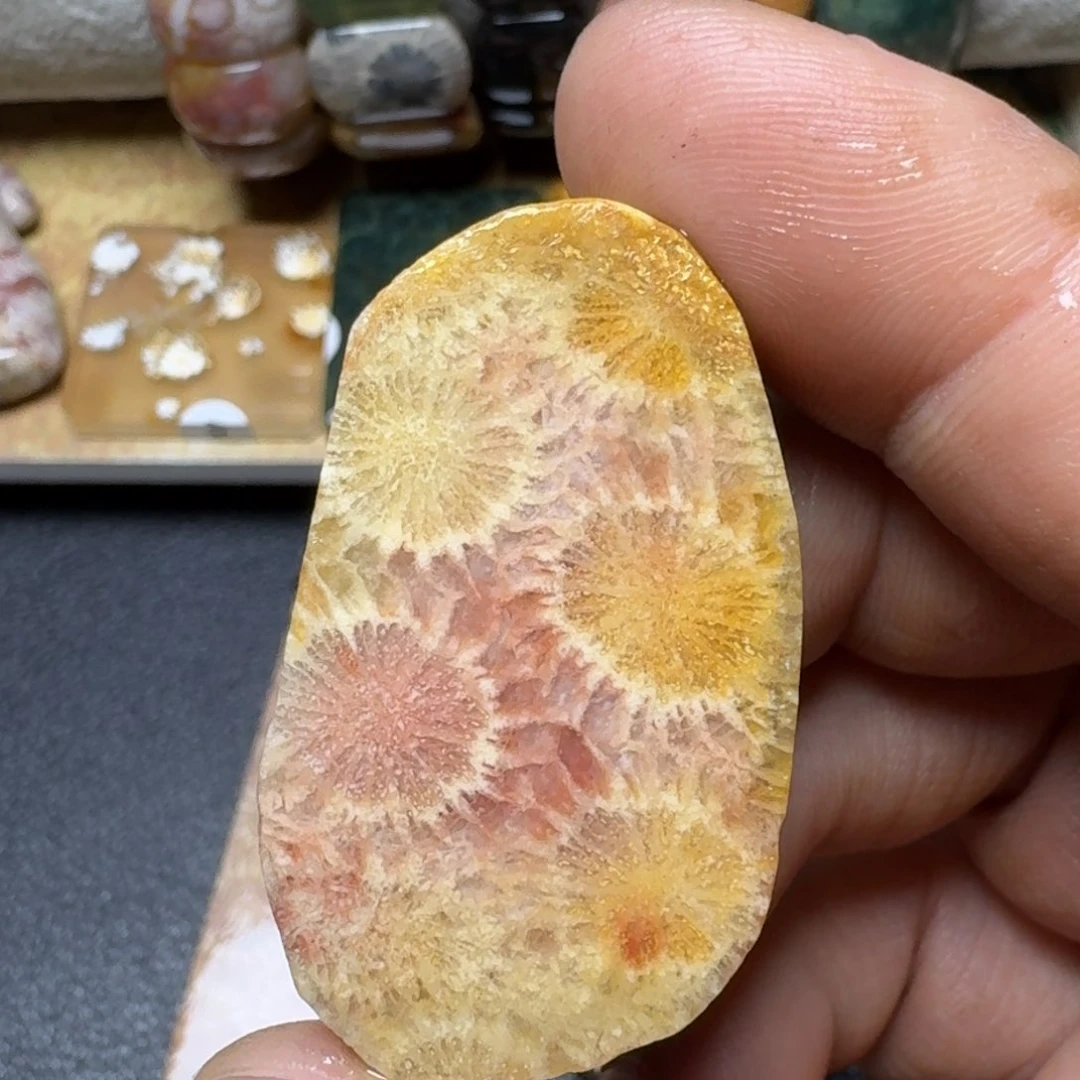 硅化玉雕刻料 片料未镶嵌