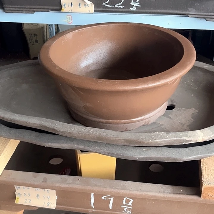 紫砂花盆黄**熊m m m m m m m m m