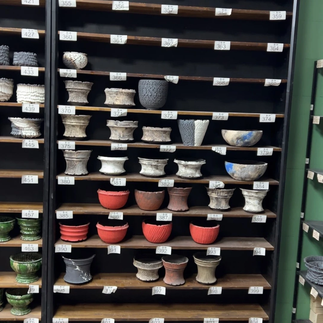 有喜欢的把编号打在公屏