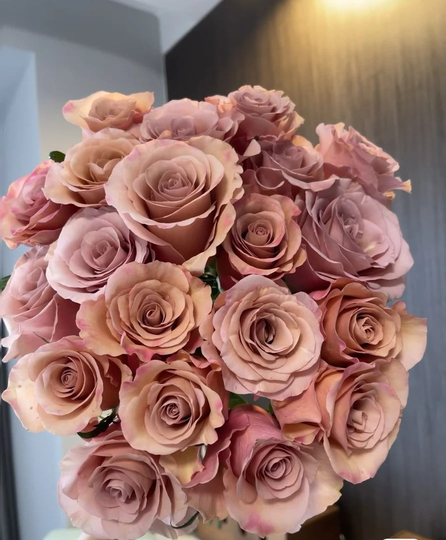 莫泊单头玫瑰18支+2支防破损 居家玫瑰 收到花带包装醒花