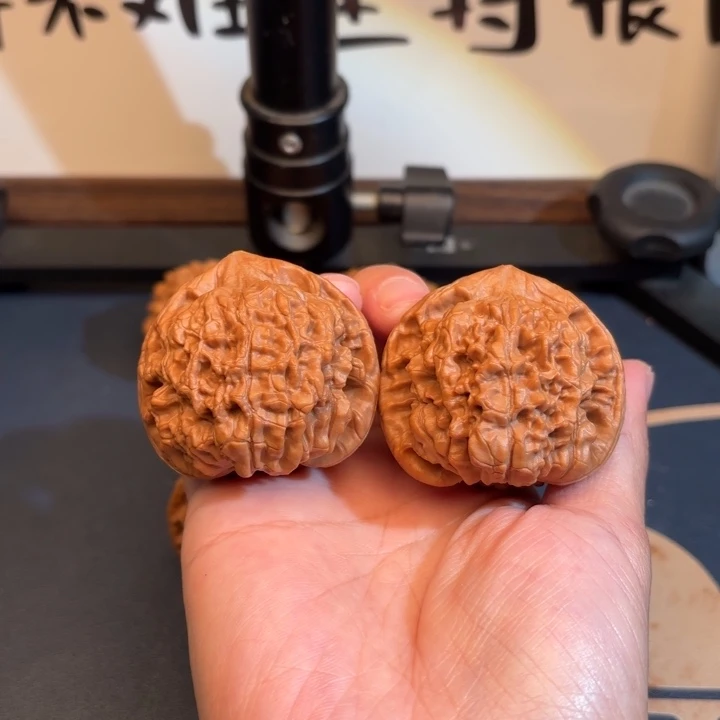 核桃47官帽文玩核桃