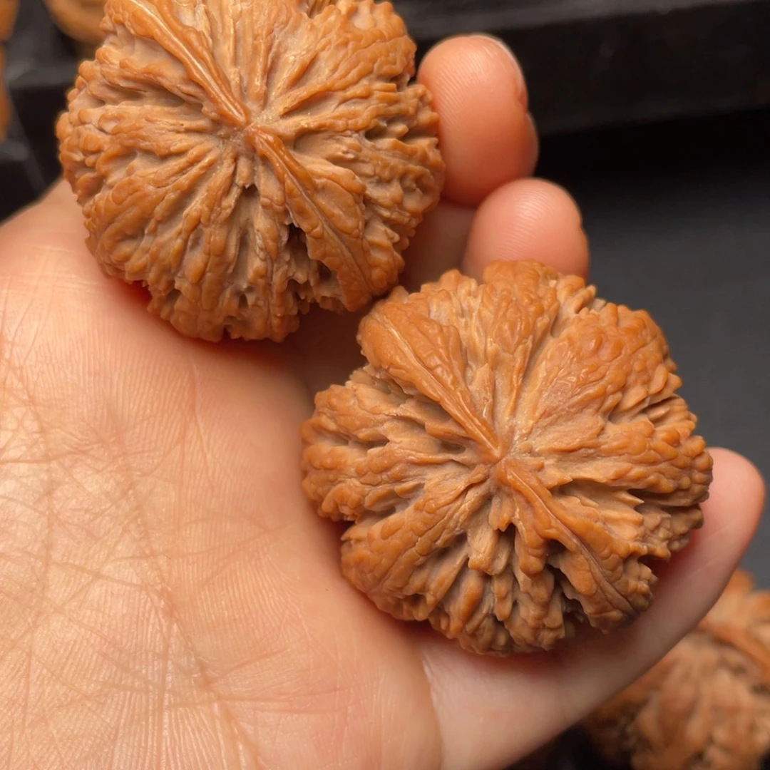 文玩核桃把件秦岭山脉核桃