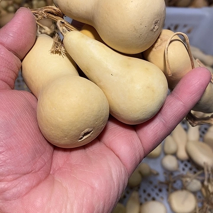 一**求精品葫芦手把葫芦44