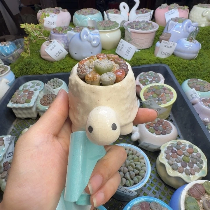 多肉葡萄的味道真的1280