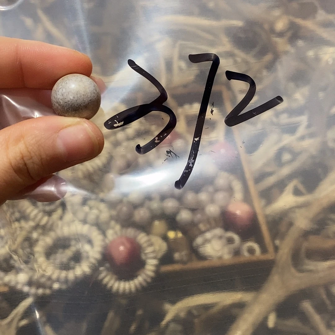 非金属鹿角鹿角鹿角