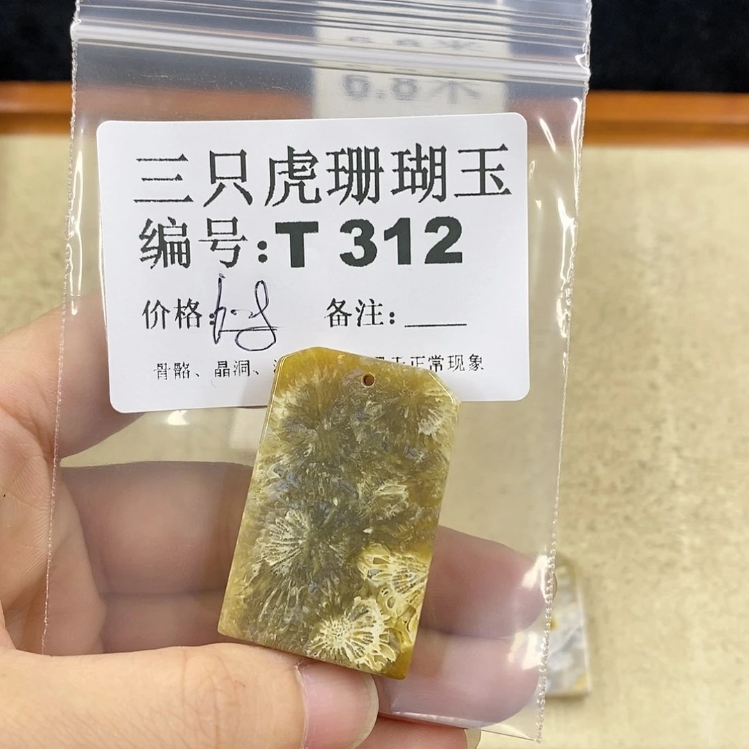 硅化珊瑚（珊瑚玉）1未镶嵌进*中