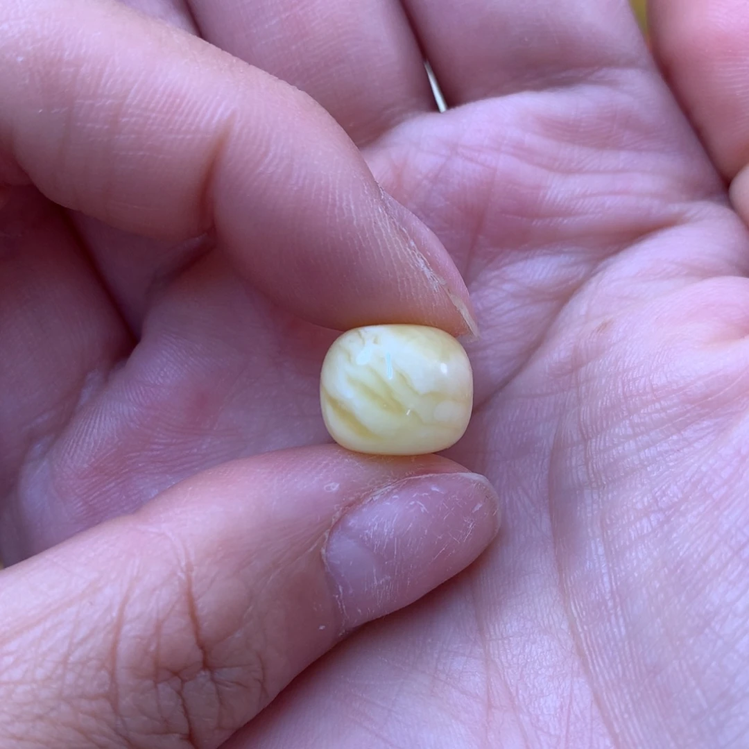 裸石琥珀未镶嵌蜜蜡