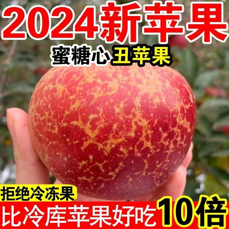 昭通冰糖心苹果丑苹果糖心苹果