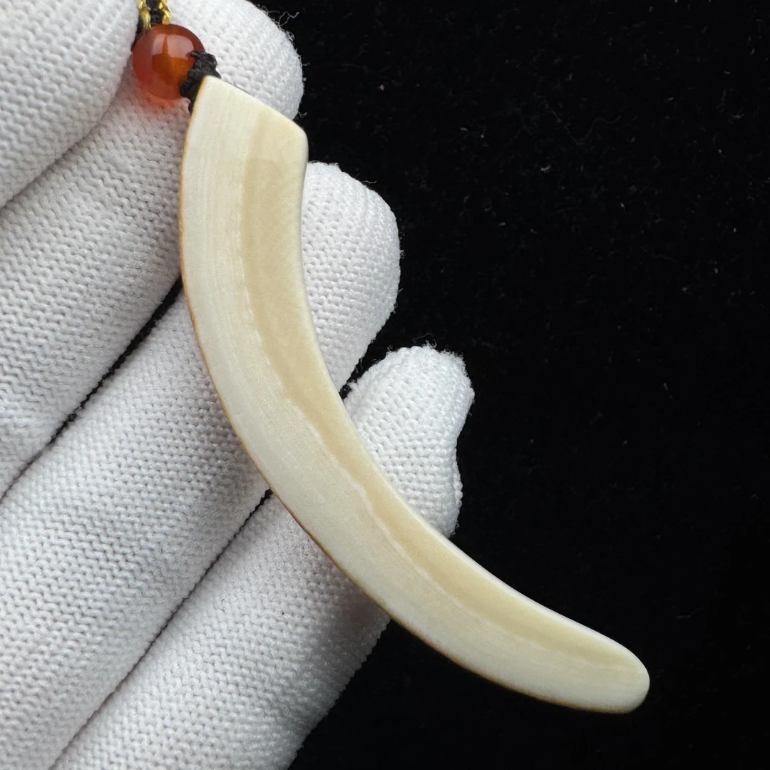 B1461天然猛犸牙尖 64mm支持鉴定 假一罚四