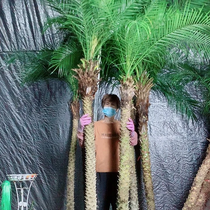 暮***、无花朵111111111111