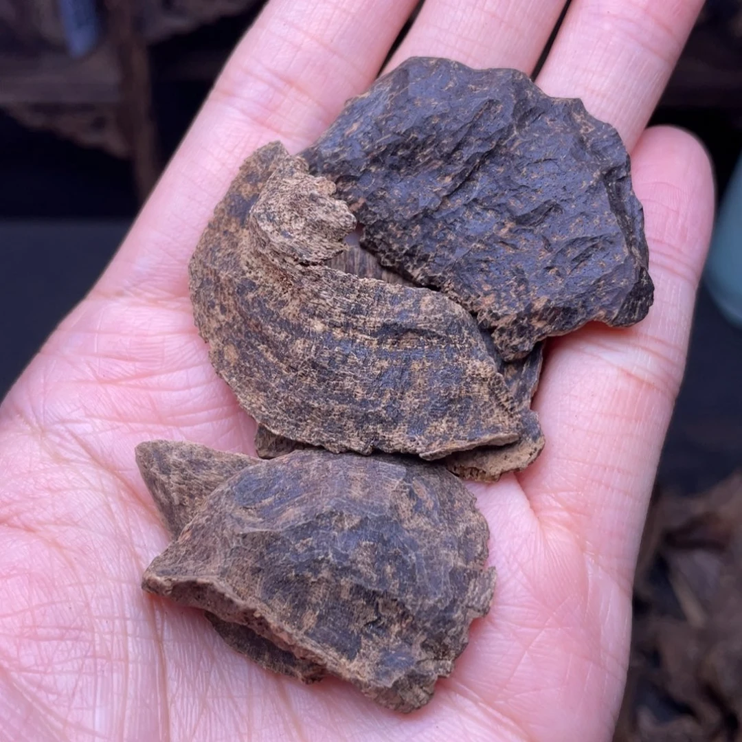 香榧木海南尖峰岭包头碎料5克