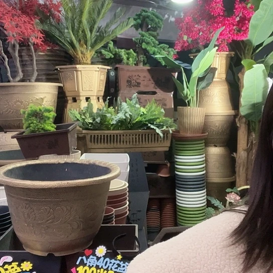 复合盆景8666556668888