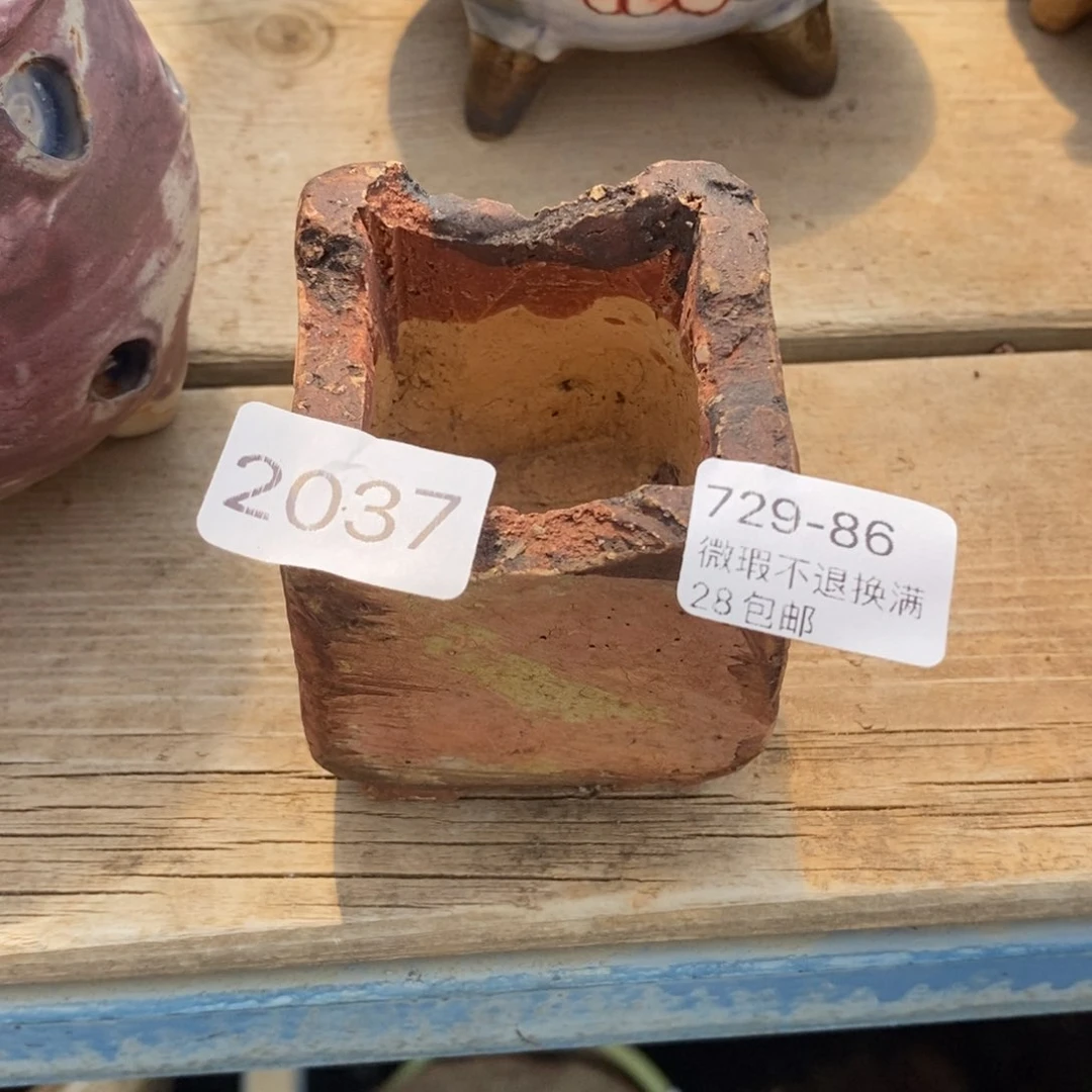 86号多肉盆口径4小可爱