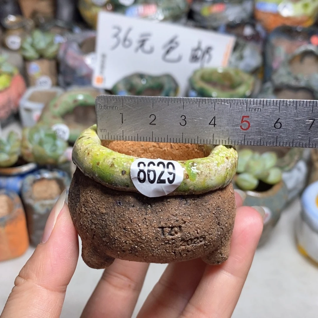 拍3送一个小礼物