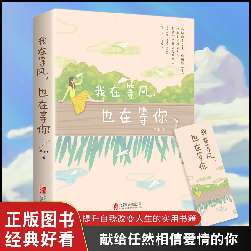我在等风，也在等你 雨彤著 一本洗涤心灵爱情青春都市言情小说J