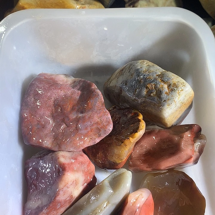 白***树寿山石88888888888888