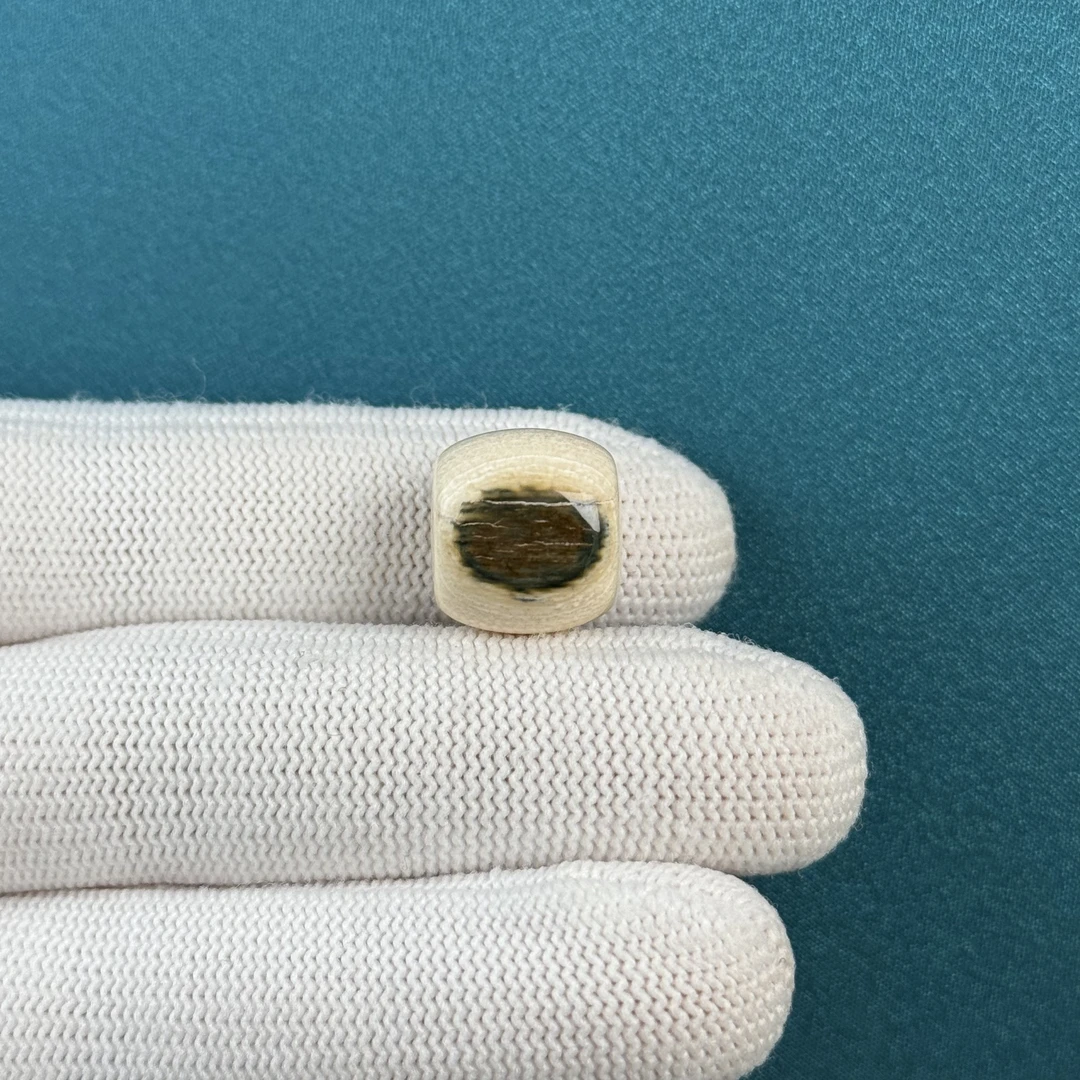 D52-61天然猛犸牙 蓝眼睛桶珠14.2*13.2mm支持复检假一罚十