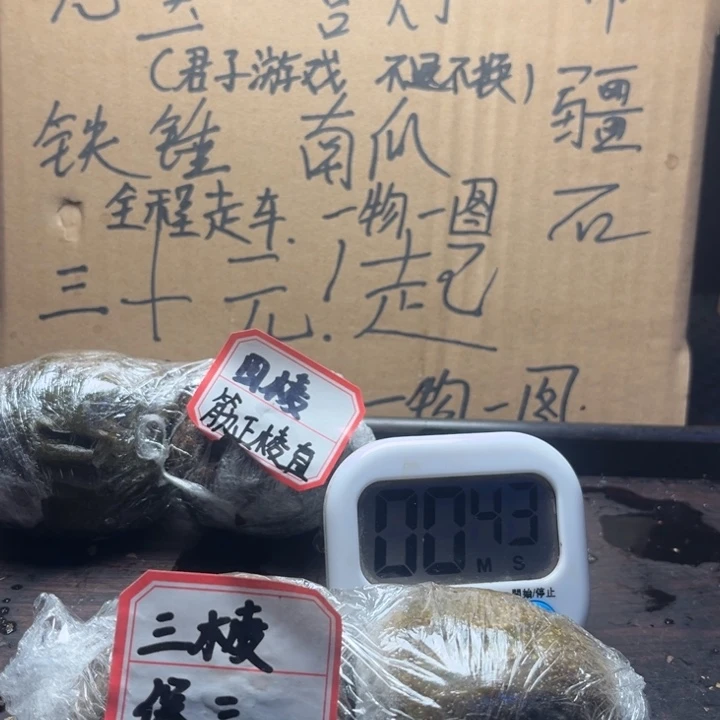 L***D文玩核桃把件棱子