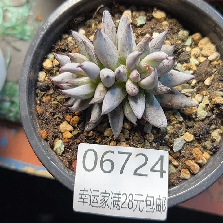 幸运儿是一位非常