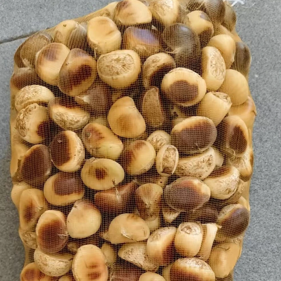 新鲜现摘现剥板栗  安庆太湖土特产