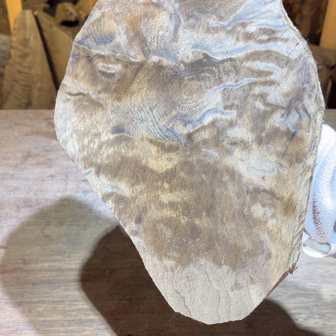 金丝楠金丝楠原材料