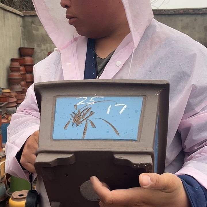 紫砂紫砂花盆盆栽