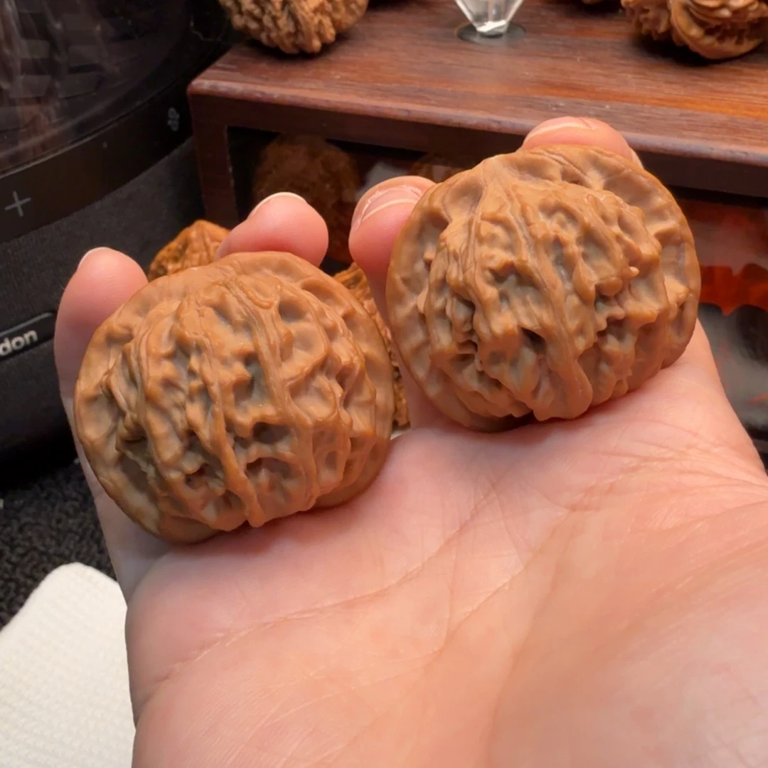 核桃40+全品天地山地果