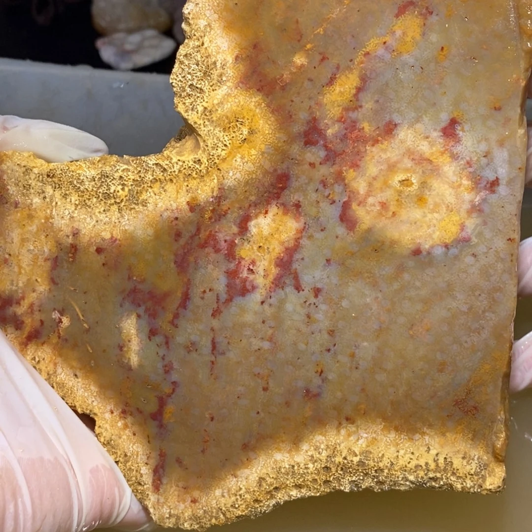 【闪购商品】硅化玉珊瑚玉未镶嵌