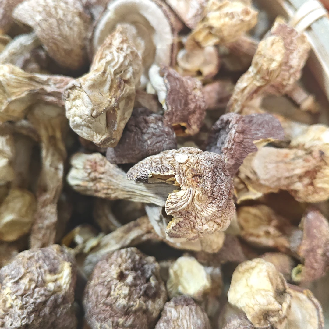 【李支书精选】云南特产下山货姬松茸煲汤首选