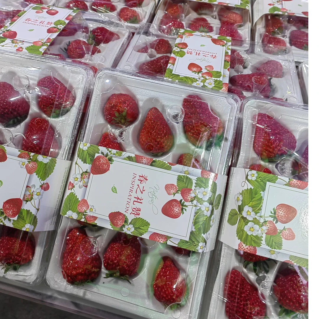 【3盒】450g/盒本地红颜草莓11-15颗随机发仅限长治市区购买