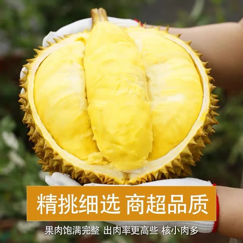 新鲜精品金枕榴莲（一果一重、肉多核小）干包黄肉-软糯香甜金枕泰国