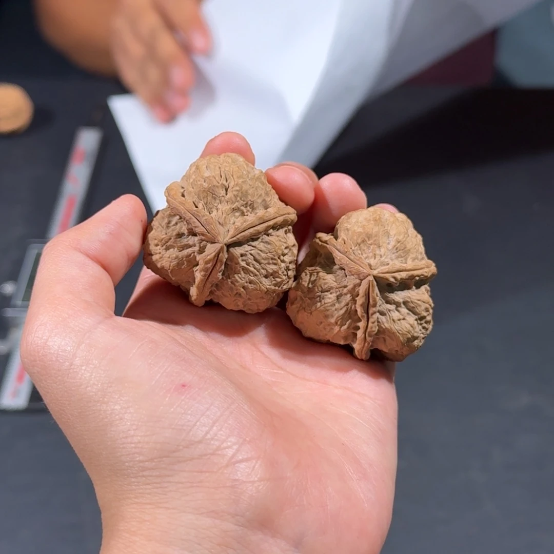 文玩核桃把件189号蟾皇三棱