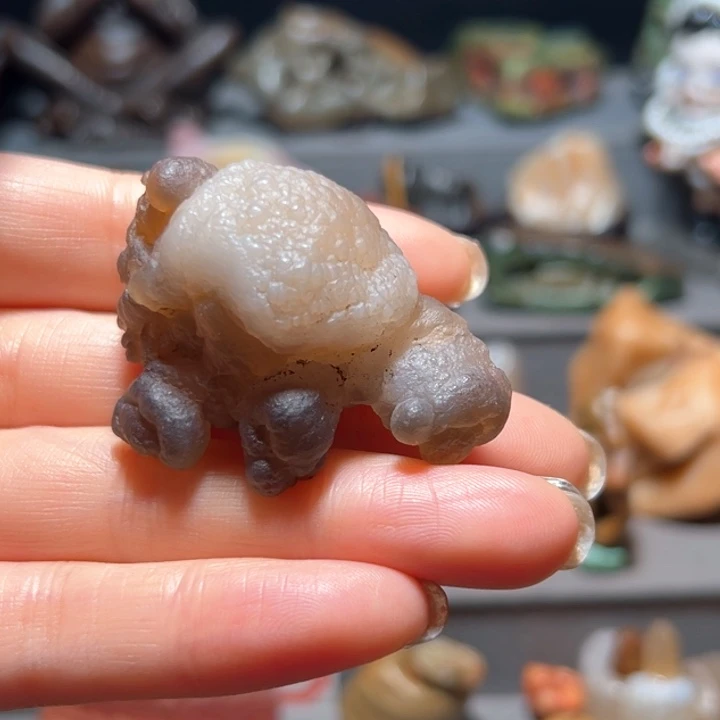 石材熊爪子福利来