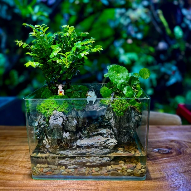 揽山「山涧溪流」鱼龟共养桌面水陆小景观办公室送礼25*18*16