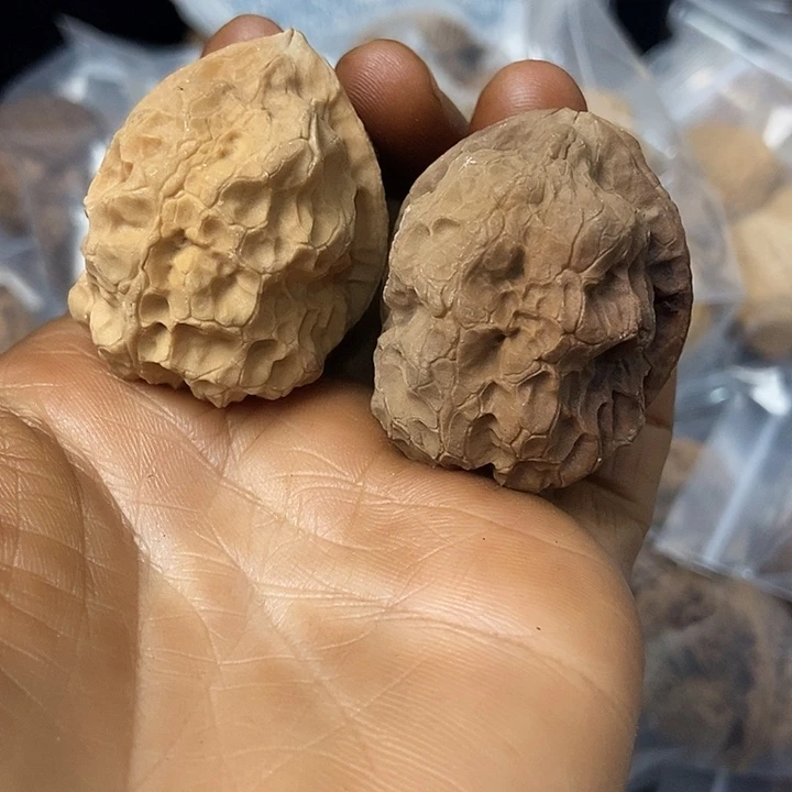 把件文玩核桃云南铁核桃基地19