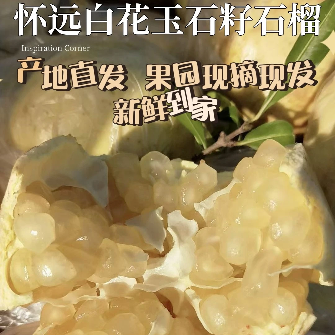 正宗安徽怀远白石榴白花白皮白玉石榴特产现摘大果新鲜水果10斤