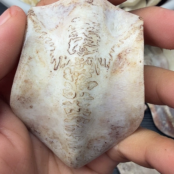牪***人铁合金花岗石养殖鹿头骨制作三界牌