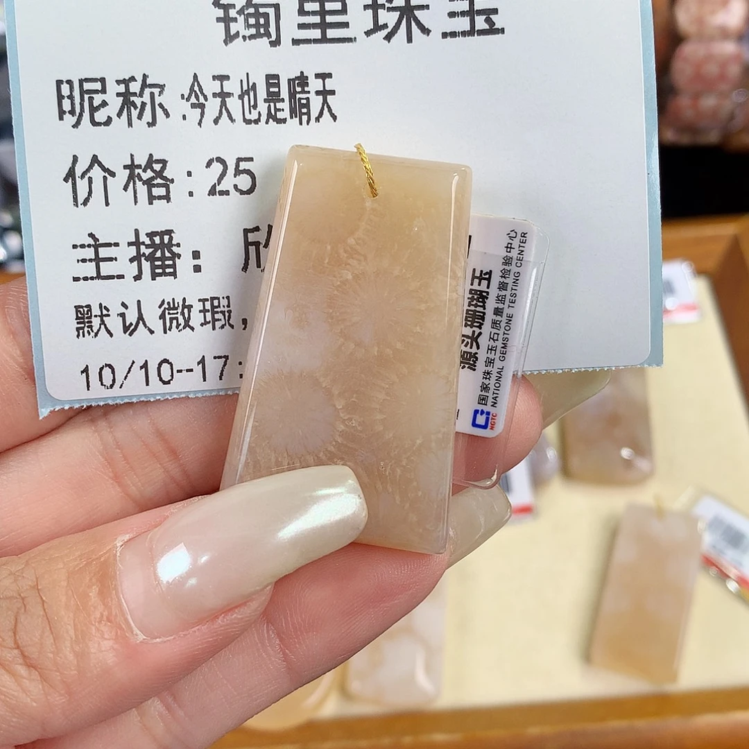 今***天硅化珊瑚（珊瑚玉）未镶嵌吊坠(赠链)