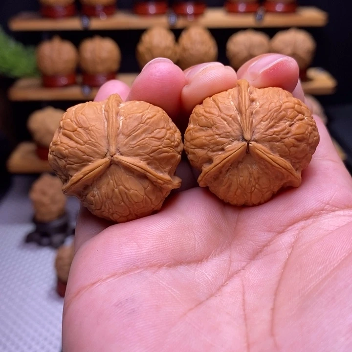 核桃云铁柿饼子三棱23号