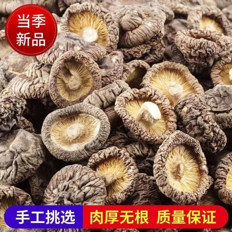 黄芯干香菇直径4-5厘米肉厚无脚主打营养丰富[当季新货]