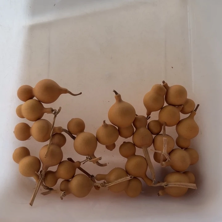 玉***茶木20个3块的到福1233