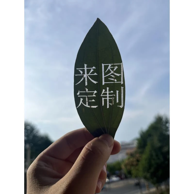 【来图定制】二次元动漫雕刻树叶DIY