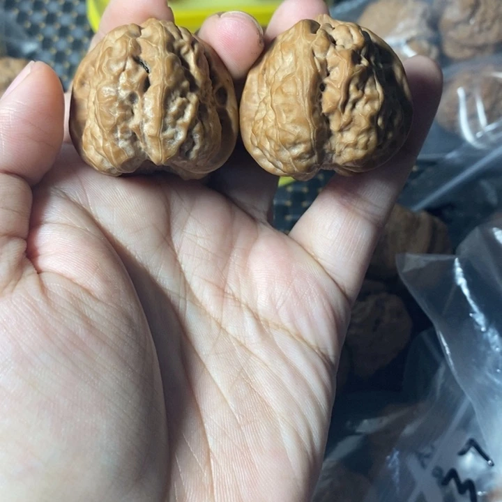 把件文玩核桃蛤蟆38全