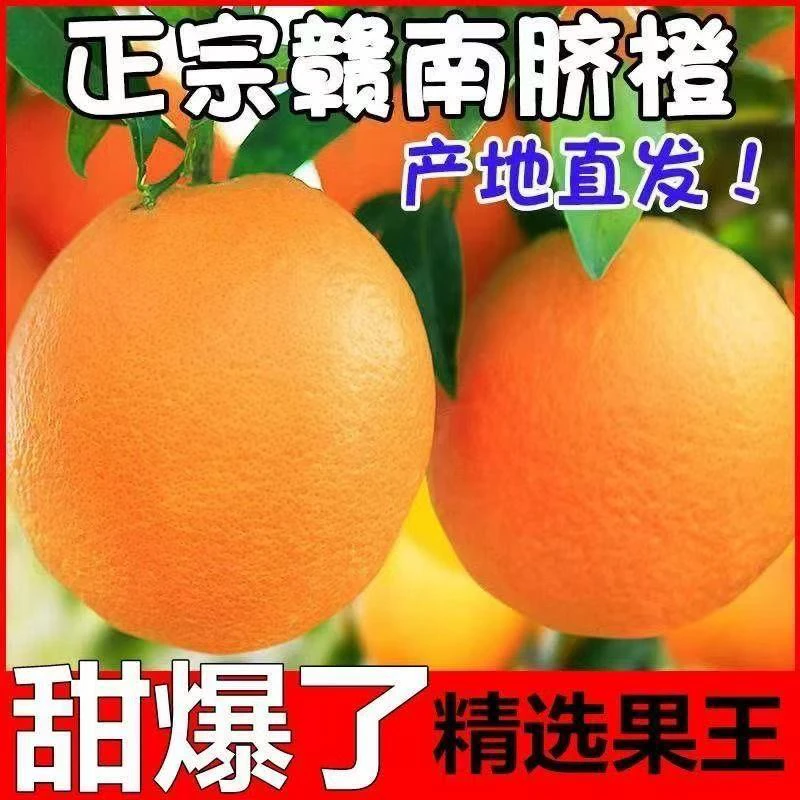 现摘赣南早熟脐橙新鲜应季水果产地直发香甜多汁大果