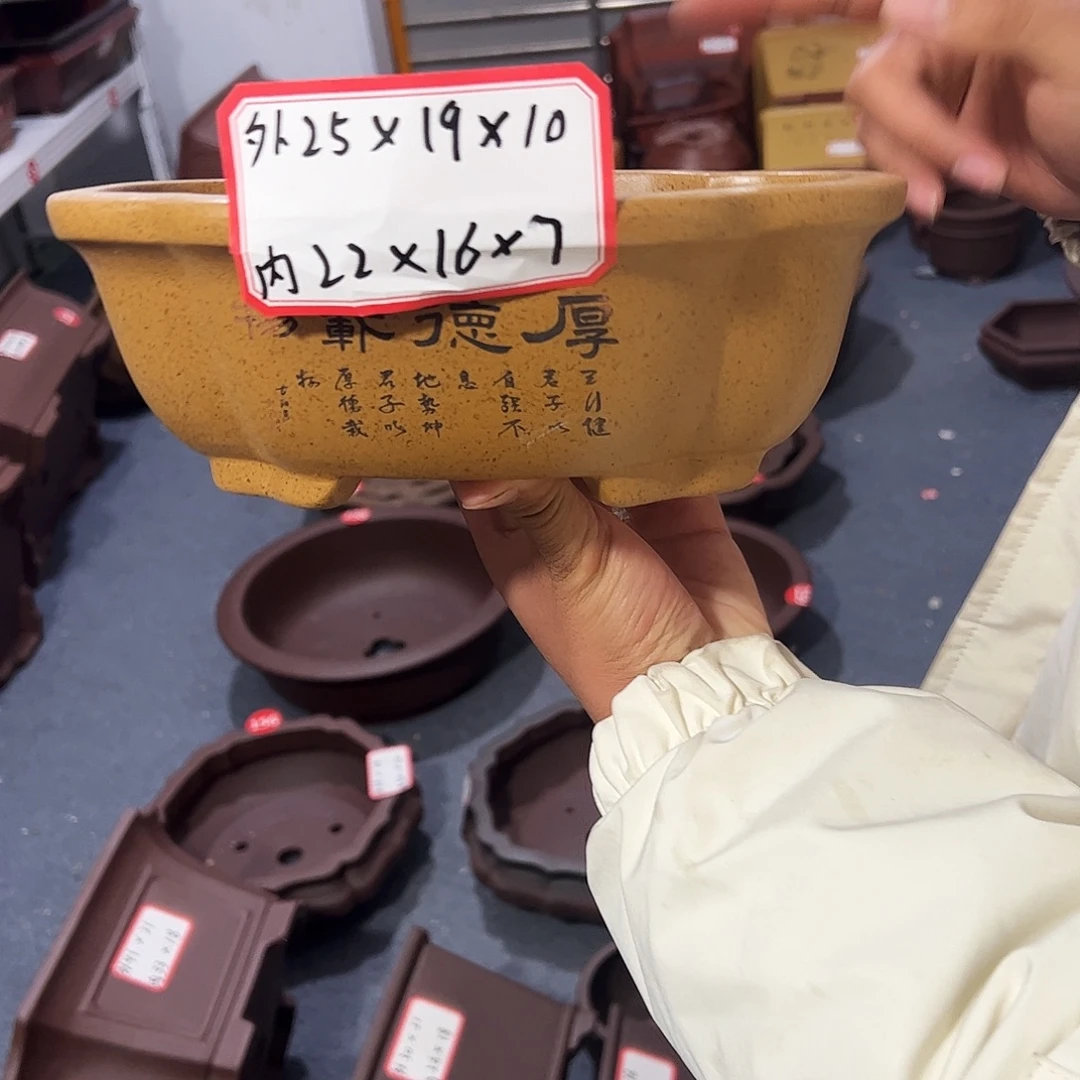 紫砂其他紫砂花盆