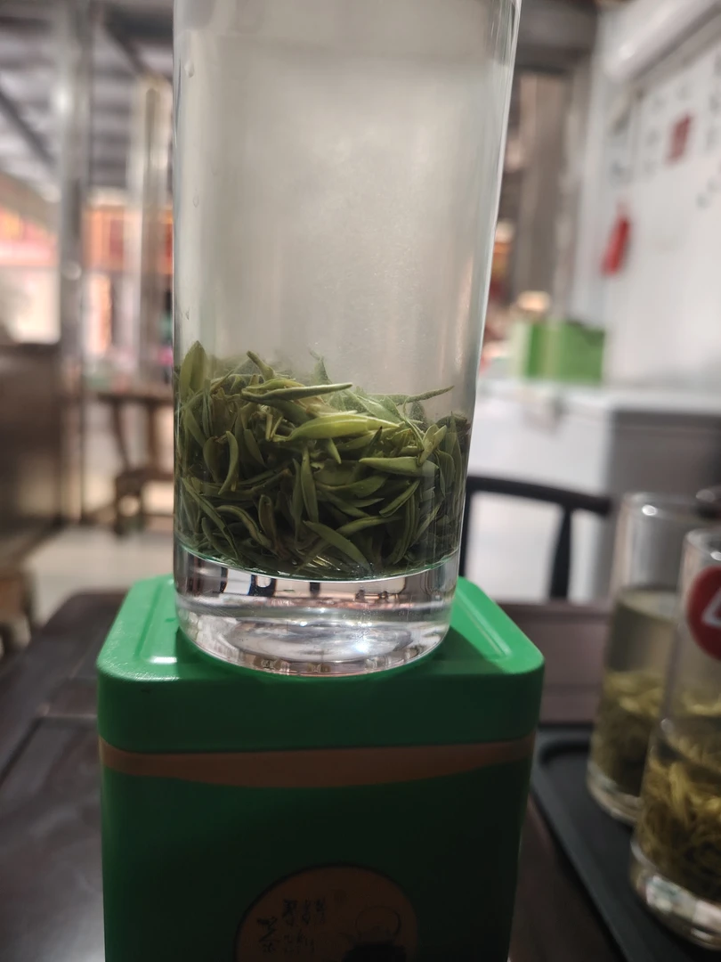 2025信阳毛尖明前头采芽头