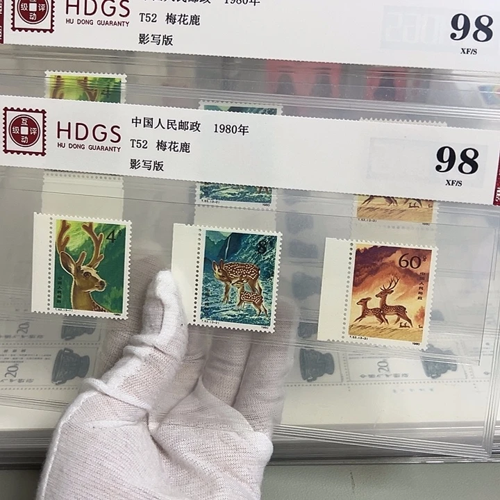 T52带边评级98邮票