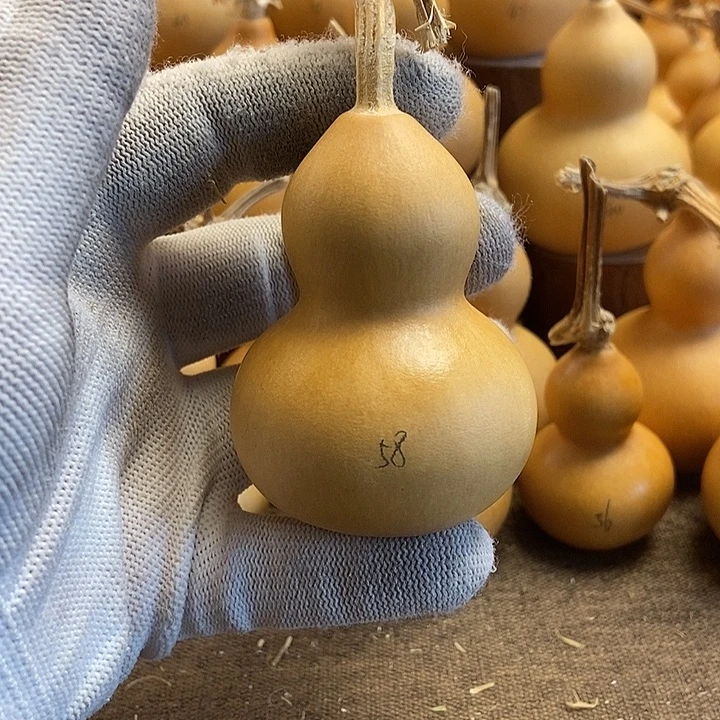 文玩葫芦 完美主义者 慎拍58